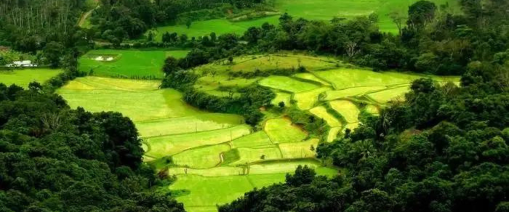 places to visit to coorg